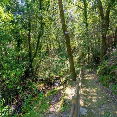 Moinhos Do Coto וילה *