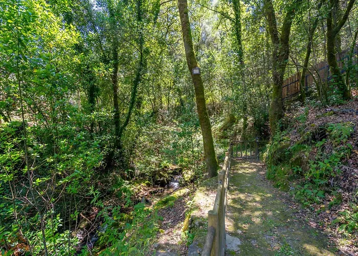 Moinhos Do Coto Villa *